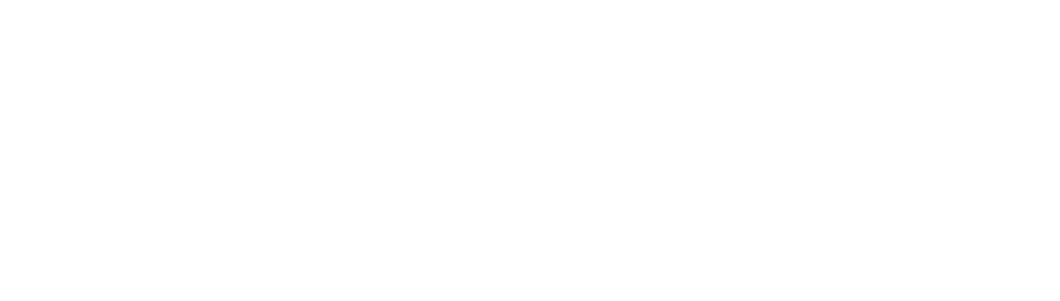 Amesta Palvelut